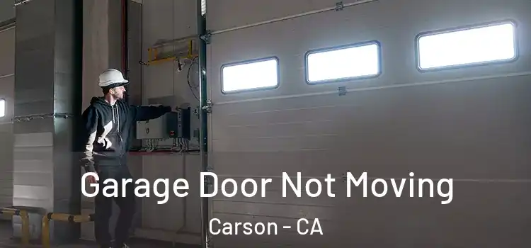  Garage Door Not Moving Carson - CA