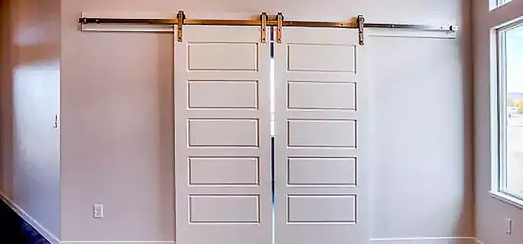 Glass Barn Door with Installation Hardware Kit Carson