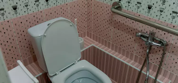 Meeting Diverse Needs With Accessible Restroom Solutions in Carson, CA