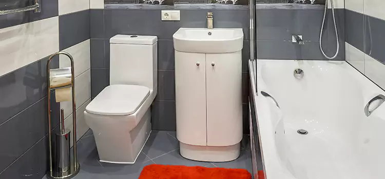 Hansgrohe Shaving Mirror Carson